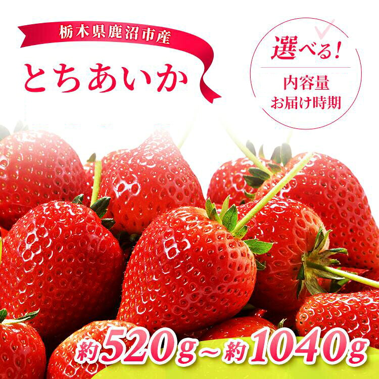 【先行予約】【選べる品種・内容量・発送時期】とちあいか 2パック / 4パック | いちご 果物 フルーツ デザート スイーツ 苺 イチゴ くだもの 朝取り 新鮮 美味しい 甘い 先行受付