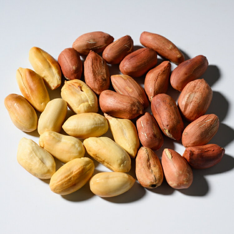 【ふるさと納税】焙煎落花生 おおまさり 約400g | らっかせい ピーナッツ おつまみ 鹿沼市 農家直送 ※北海道・沖縄・離島への配送不可 - 画像3