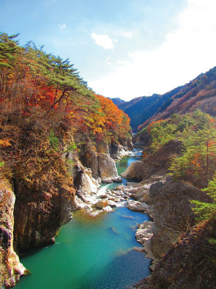 【ふるさと納税】[楽天トラベル 地域創生賞 2024 ブロンズ 受賞] 栃木県日光市の対象施設で使える楽天トラベルクーポン 寄付額167,000円｜日光市 ホテル 観光 温泉 旅行券 宿泊券 チケット 夏休み 紅葉 [0387] サムネイル2