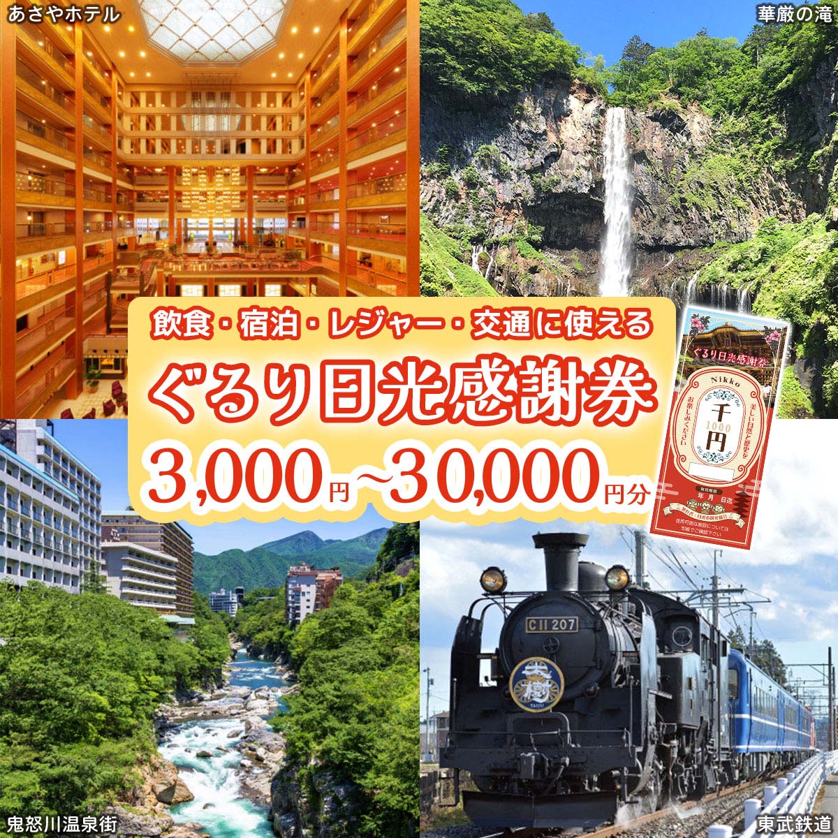 ぐるり日光感謝券【商品券 (選べる金額：3千円分／9千円分／1万5千円分／3万円分)】｜旅行券 クーポン券 お食事券 旅行 観光 温泉 旅館 ホテル カフェ レジャー施設 地域商品券 チケット 日光市 [0206-0207][0292-0293]