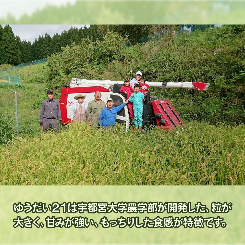 【ふるさと納税】[令和7年度産] 日光棚田米「ゆうだい21」5kg｜令和7年度米 数量限定 お米 白米 精米 国産 日光産 産地直送 日光市 八木澤ファーム [0759] - 画像3