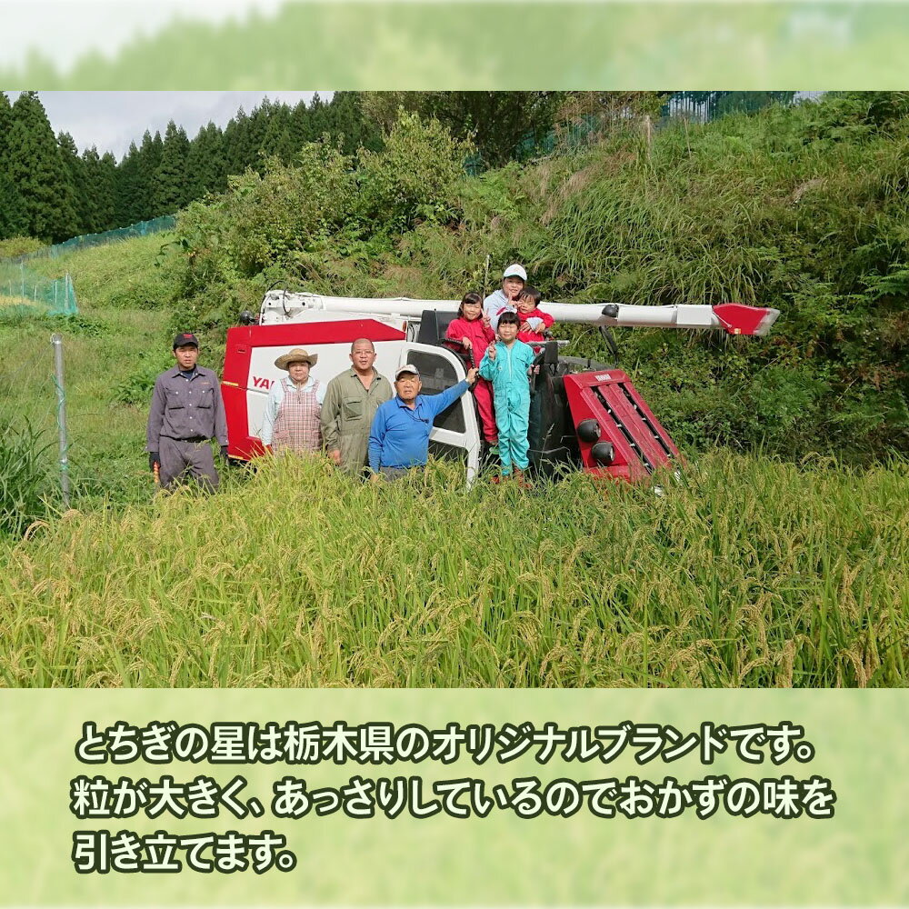 【ふるさと納税】[令和7年度産] 日光棚田米「とちぎの星」 白米 5kg｜令和7年度米 数量限定 お米 精米 国産 日光産 産地直送 日光市 八木澤ファーム [0760] - 画像3