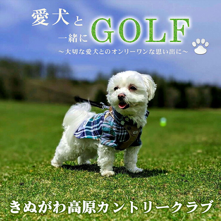 【ふるさと納税】栃木県日光市の対象ゴルフ場で使える楽天GORAクーポン 寄付額10,000円｜楽天限定 ゴルフ チケット [0369] サムネイル3