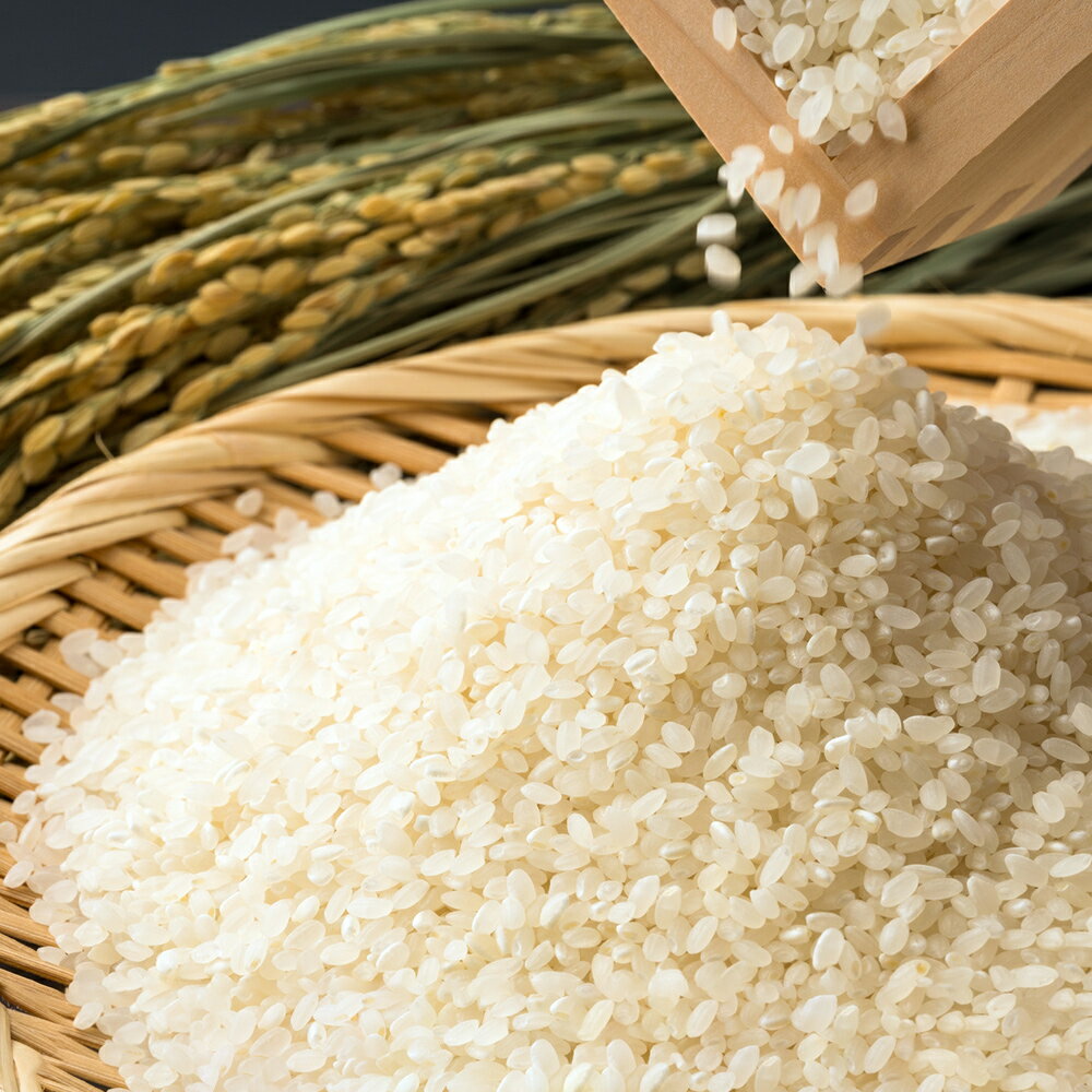 【ふるさと納税】日光産【ゆうだい21】5kg｜令和7年度米 特別栽培米 減農薬 無化学肥料栽培 日光ブランド 精米 お米 ごはん 国産 産地直送 [0771] - 画像2