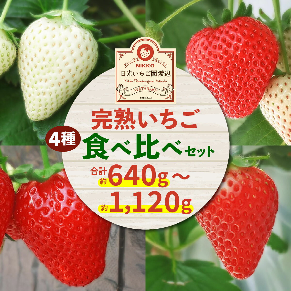 [2026年1月上旬より順次発送] 4種類の「完熟いちご」 食べ比べ！ 日光の自然が育むいちご｜先行予約 期間限定 イチゴ 苺 フルーツ とちおとめ とちあいか スカイベリー ミルキーベリー 果物 産地直送 日光産 栃木県産 [0651-0653]