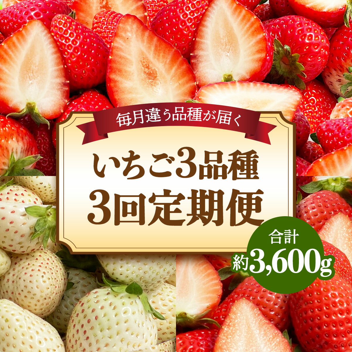 [先行予約] [定期便／3ヶ月] 日光産 人気のいちご3品種定期便 (毎月1品種 約1.2kg×3回 計3.6kg) [2026年1月中旬から順次発送]｜とちあいか ミルキーベリー スカイベリー いちご イチゴ 苺 果物 日光産 栃木県産 フルーツ 期間限定 数量限定 [0685]