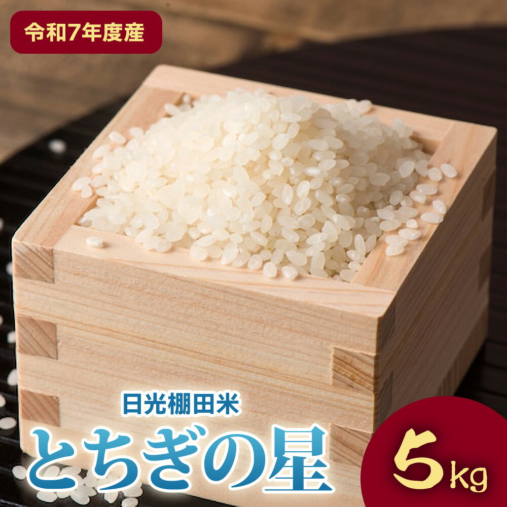 [令和7年度産] 日光棚田米「とちぎの星」 白米 5kg｜令和7年度米 数量限定 お米 精米 国産 日光産 産地直送 日光市 八木澤ファーム [0760]