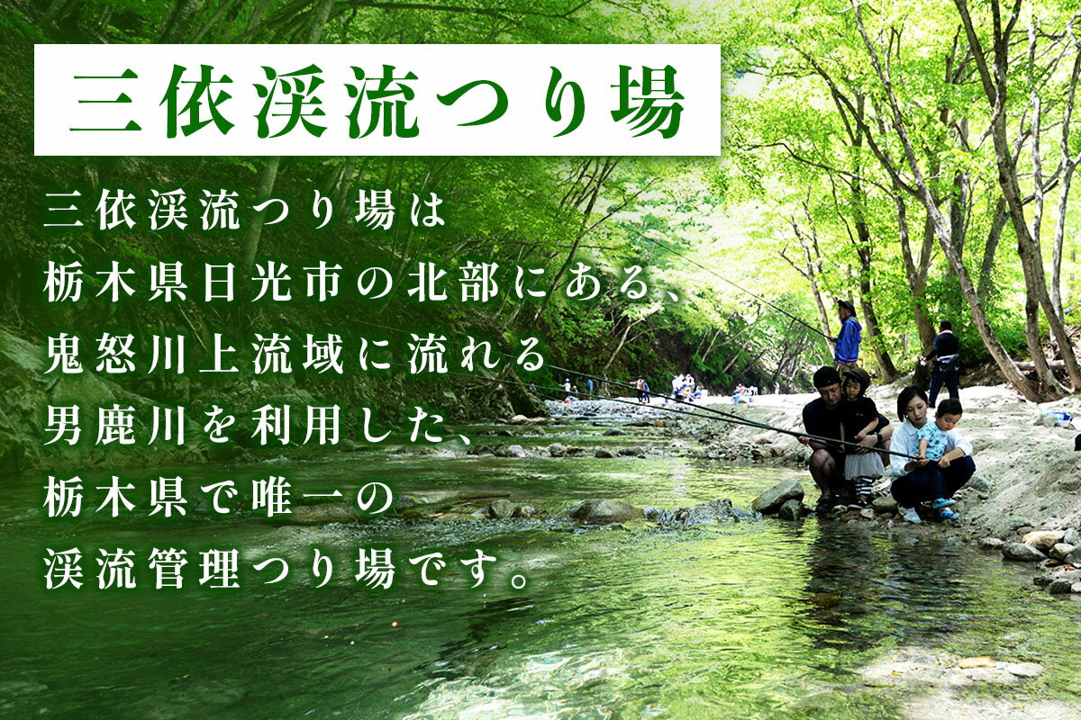【ふるさと納税】三依渓流つり場 山の恵み山菜詰合せセット｜ウド 山椒 きゃらぶき のりわさび 花豆 アソート 詰合せ 国産 日光産 三依渓流つり場 [0893] - 画像3