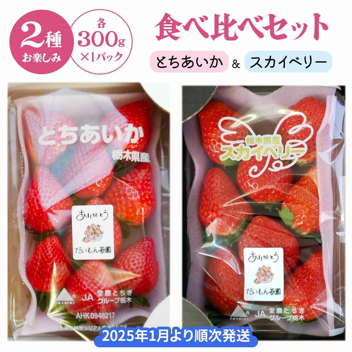[先行予約] 2種お楽しみ食べ比べセット「とちあいか＆スカイベリー」計300g×2パック [2026年1月上旬より順次発送]｜先行予約 期間限定 とちあいか スカイベリー ミルキーベリー いちご イチゴ 苺 フルーツ 果実 スイーツ 日光市産 栃木県産 産地直送 [0457]