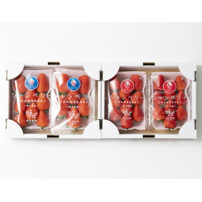 【ふるさと納税】栃木県産のいちご2種食べ比べ|スカイベリー2パック(1箱)・とちあいか2パック(1箱)【配送不可地域：離島】【1518935】 サムネイル2