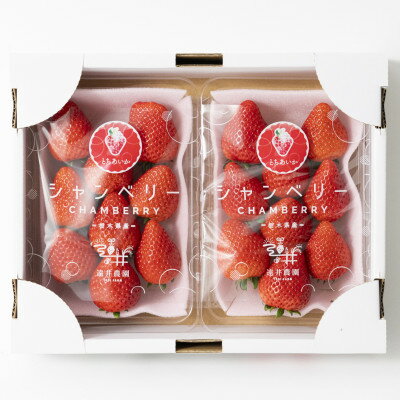 【ふるさと納税】産地直送!!栃木県遠井農園の美味しいとちあいか【270g×2パック(1箱)】【配送不可地域：離島】【1518940】 サムネイル2