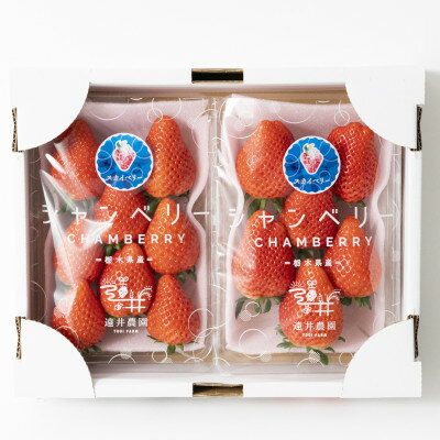 【ふるさと納税】産地直送!!栃木県遠井農園の美味しいスカイベリー【290g×2パック(1箱)】【配送不可地域：離島】【1518942】 サムネイル2