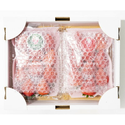 【ふるさと納税】産地直送!!栃木県遠井農園の美味しいスカイベリー【290g×2パック(1箱)】【配送不可地域：離島】【1518942】 サムネイル3