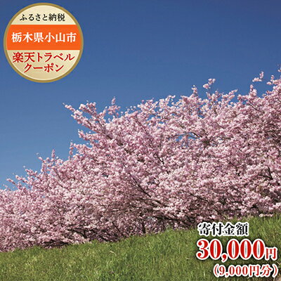 栃木県小山市の対象施設で使える楽天トラベルクーポン寄付額30,000円