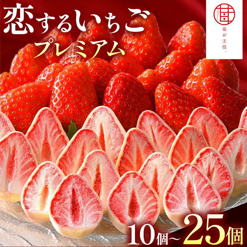いちご チョコ 恋するいちご プレミアム 選べる 10個 15個 25個 ｜ スイーツ チョコレート お菓子 ストロベリー 栃木県 真岡市 苺 個包装 お取り寄せ お返し おすすめ ギフト 贈答用 プレゼント かわいい お土産 人気 送料無料