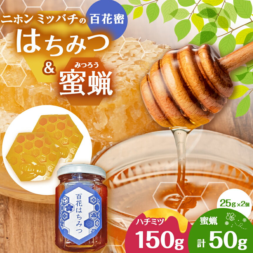 楽天限定 二ホンミツバチのはちみつ（百花蜜）と蜜蝋のセット | はちみつ ハチミツ 国産 百花蜜 蜜蝋 みつろう セット 直送 天然 ギフト プレゼント 栃木県 真岡市 送料無料