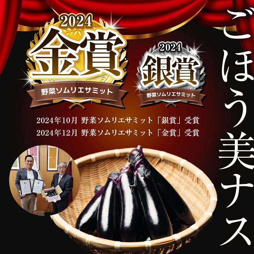 【ふるさと納税】野菜ソムリエサミット金賞「ごほう美ナス」 選べる 内容量 定期便 約1~5kg ｜ 野菜 ナス 茄子 夏秋ナス 長ナス 特産品 なす なすび 野菜 定期便 単品 金賞 受賞 訳あり 訳アリ 選べる ご褒美 栃木県 真岡市 送料無料（クラウドファンディング対象） サムネイル2