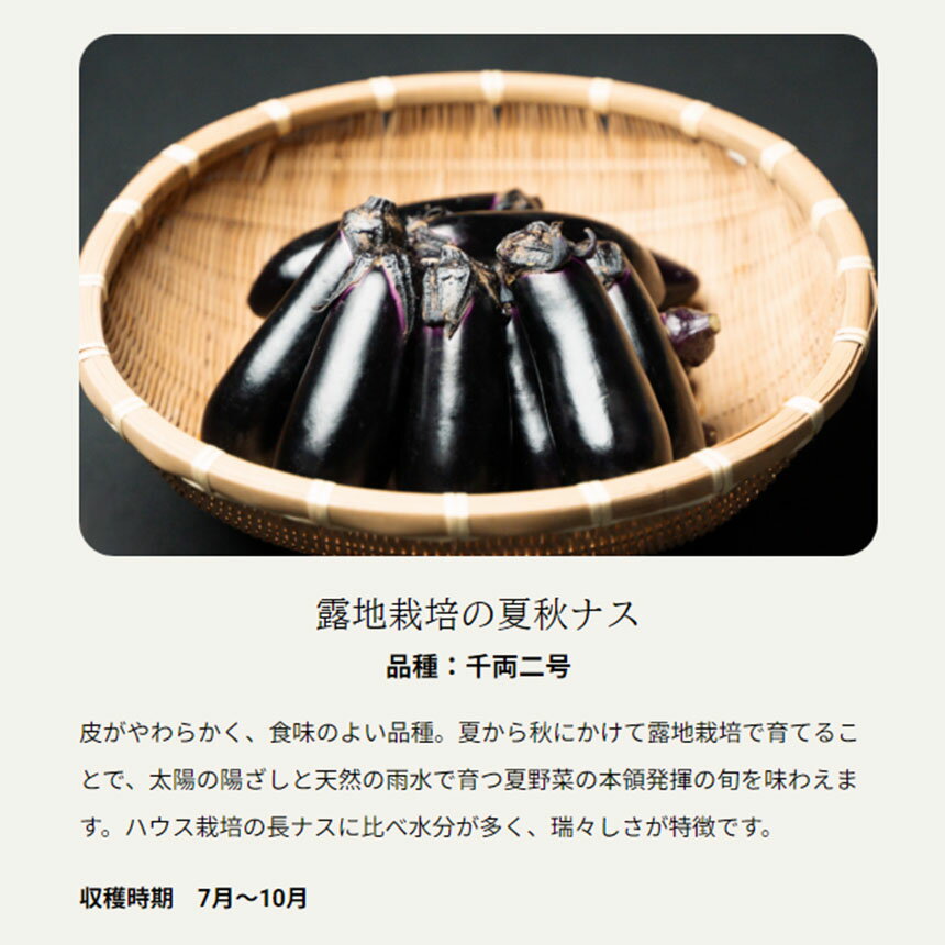 【ふるさと納税】トロ～リ長ナスと国産白ゴマセット｜ 野菜 ナス 茄子 夏秋ナス 長ナス 白ごま ゴマ 胡麻 国産 手作業 煎りたて ごま煎り 体験 擦りたて 強い 香り コク 特産品 栃木県 真岡市 送料無料 - 画像3