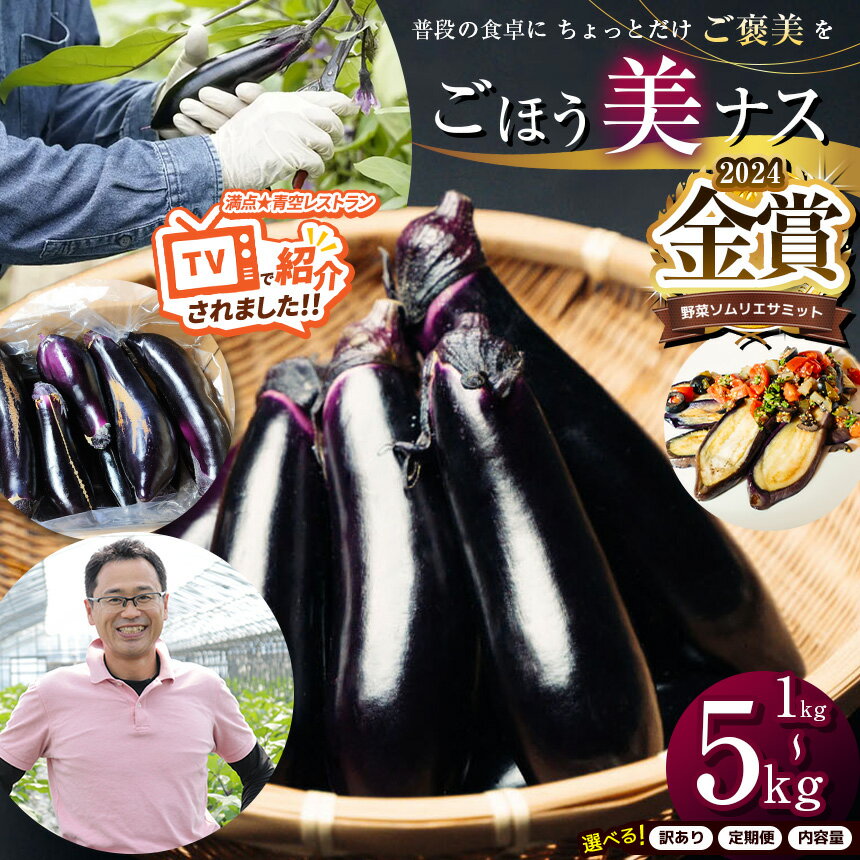 野菜ソムリエサミット金賞「ごほう美ナス」 選べる 内容量 定期便 約1~5kg ｜ 野菜 ナス 茄子 夏秋ナス 長ナス 特産品 なす なすび 野菜 定期便 単品 金賞 受賞 訳あり 訳アリ 選べる ご褒美 栃木県 真岡市 送料無料（クラウドファンディング対象）