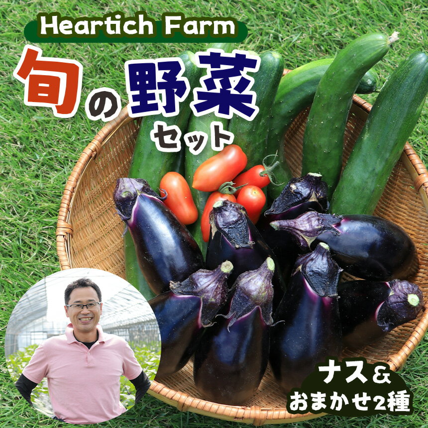 旬の 野菜 セット ( ナス ＆ おまかせ2種 ) Heartich Farm ｜ 野菜 ナス 茄子 セット 特産品 栃木県 真岡市 送料無料 なす なすび