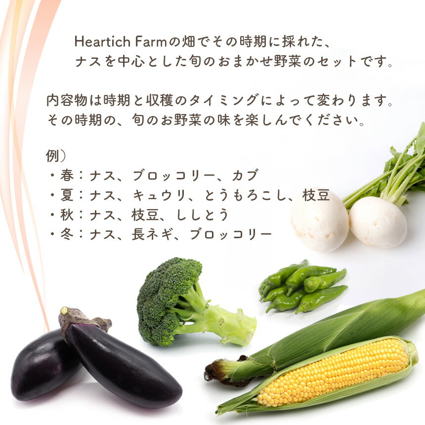 【ふるさと納税】旬の 野菜 セット ( ナス ＆ おまかせ2種 ) Heartich Farm ｜ 野菜 ナス 茄子 セット 特産品 栃木県 真岡市 送料無料 なす なすび - 画像2