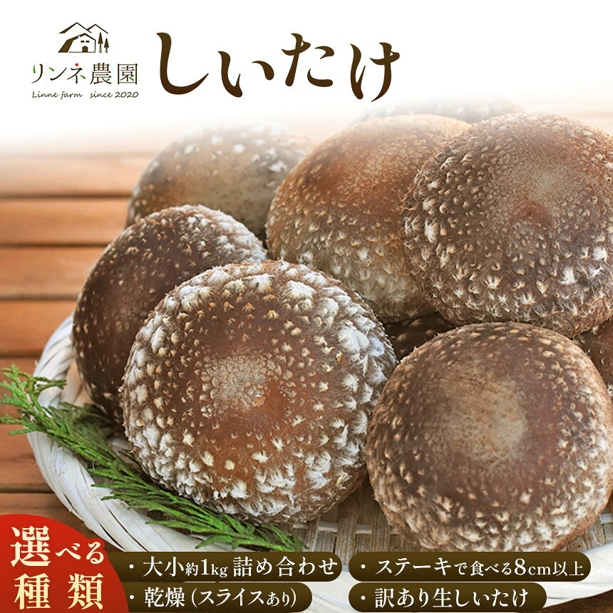 しいたけ 生椎茸 生しいたけ詰め合わせ ステーキ 乾燥 訳あり 【選べる種類】| 定期便 椎茸 生しいたけ 乾燥しいたけ 干し椎茸 干ししいたけ シイタケ 詰め合わせ きのこ キノコ 野菜 秋の味覚 旬野菜 送料無料 栃木県 真岡市