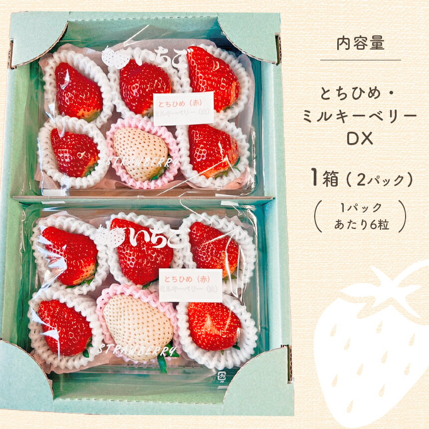 【ふるさと納税】【先行予約】とちひめ・ミルキーベリー DX 1箱(2パック) 〈期間限定〉12月～2月発送｜苺 いちご ストロベリー パック 厳選 手作り 農家 特産品 栃木県 真岡市 美味しい おいしい 美味い うまい 人気 旬 新鮮 フレッシュ ジューシー 甘い あまい 送料無料 サムネイル3
