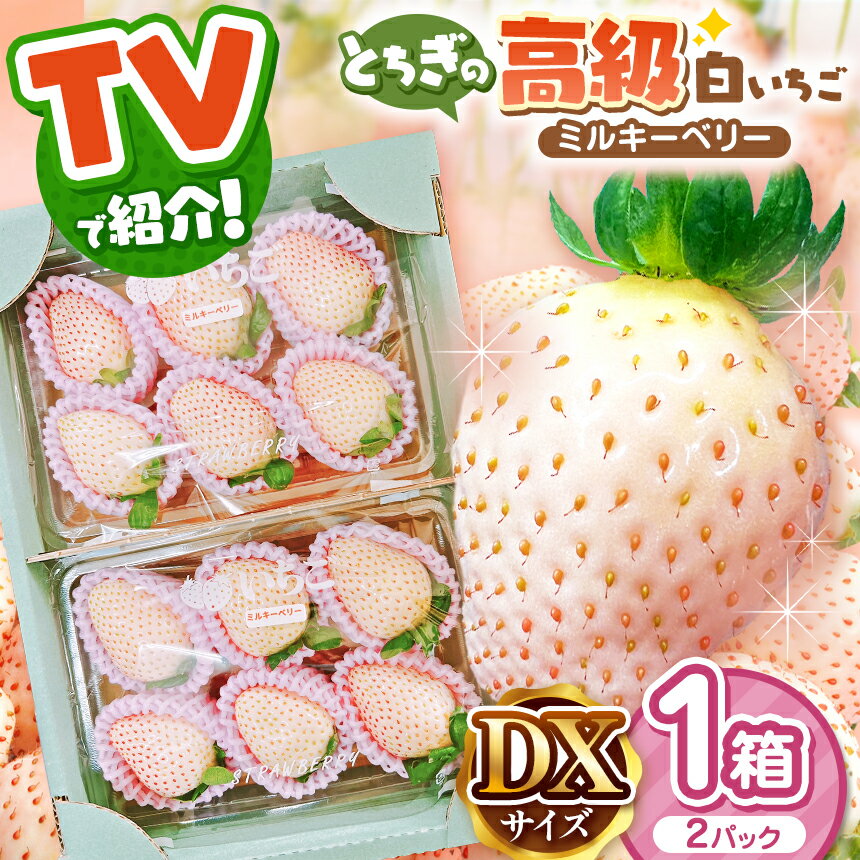 【先行予約】ミルキーベリー DX 1箱(2パック) 〈期間限定〉12～2月発送｜ テレビ 放送 苺 いちご ストロベリー パック 厳選 手作り 農家 特産品 栃木県 真岡市 美味しい おいしい 旨い 美味い うまい 人気 旬 新鮮 フレッシュ ジューシー 送料無料