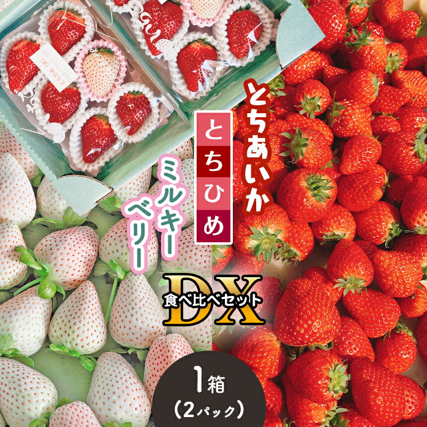 とちあいか・とちひめ・ミルキーベリー食べ比べセット DX | いちご 栃木 strawberry 2026 先行予約 12月 1月 2月 人気 高評価 レビュー テレビ 放送 苺 いちご とちあいか とちひめ ミルキーベリー パック 特産品 栃木県 真岡市 送料無料