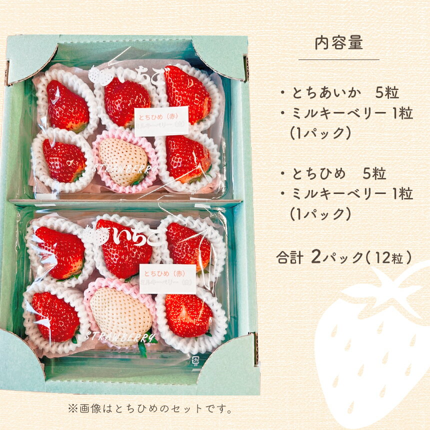 【ふるさと納税】とちあいか・とちひめ・ミルキーベリー食べ比べセット DX | いちご 栃木 strawberry 2026 先行予約 12月 1月 2月 人気 高評価 レビュー テレビ 放送 苺 いちご とちあいか とちひめ ミルキーベリー パック 特産品 栃木県 真岡市 送料無料 サムネイル3