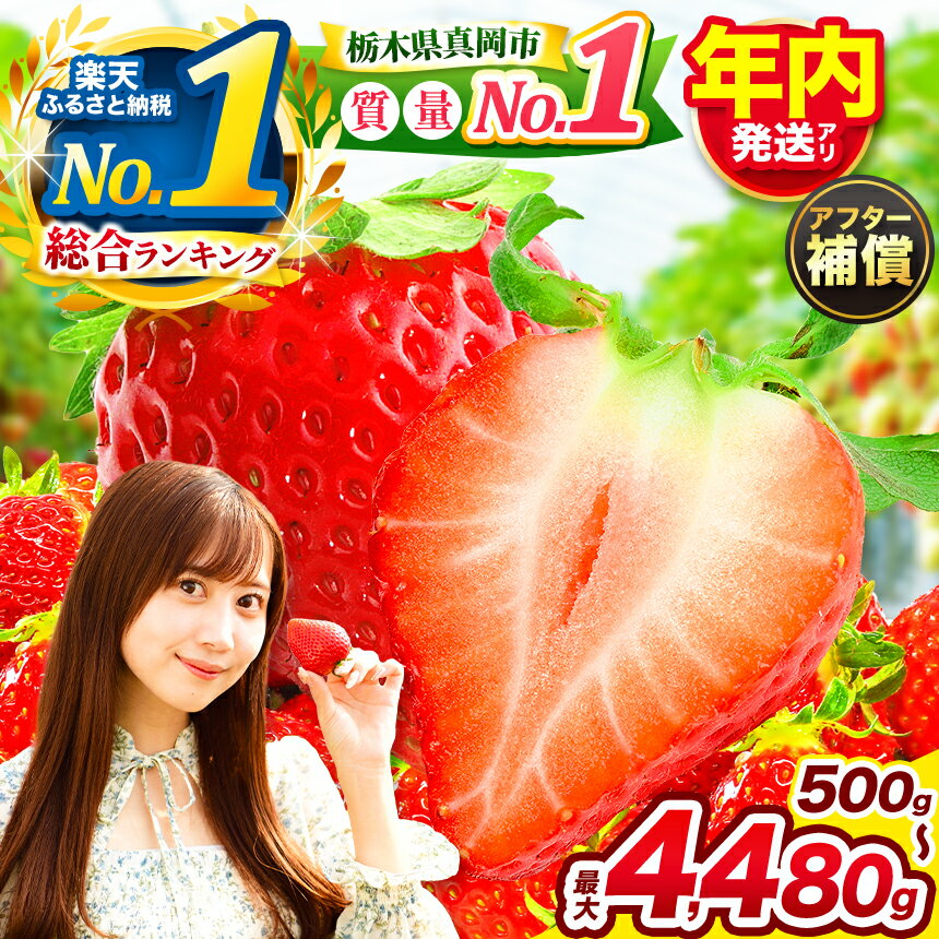 12月お届け 年内分 いちご | とちあいか 全国 1位 獲得 | 年内発送 ご褒美 訳あり 定期便 苺 最旬 高レビュー | 選べる 発送時期 ＆ 用途 贈答 訳あり 家庭用 | 生産量 日本一 果物 果実 フルーツ イチゴ 人気 栃木県 25/26年 クラウドファンディング対象