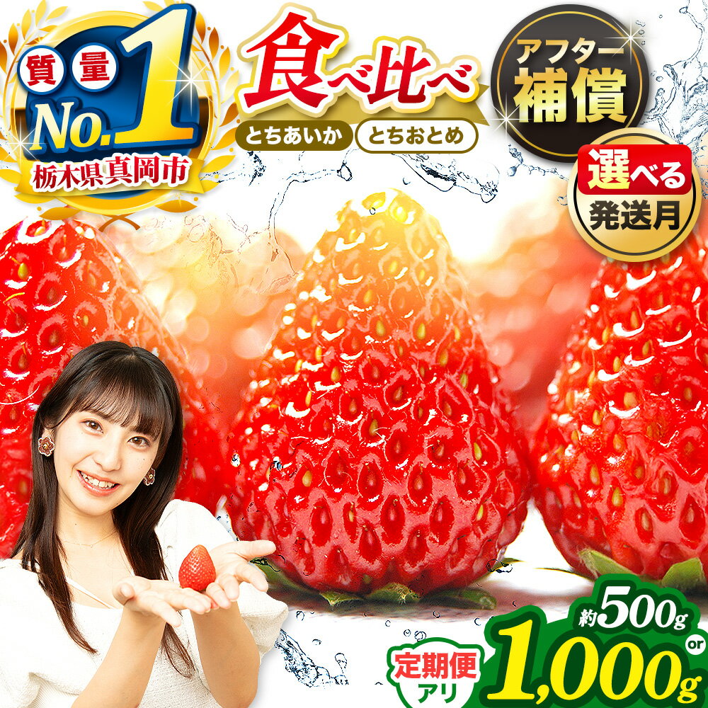 いちご とちあいか とちおとめ 定期便 人気 食べ比べ セット 選べる 500g or 1000g 【2026年 出荷開始】1回 2回｜ 1月 2月 3月 農林水産大臣賞 受賞農家 2品種 栃木県産 真岡市 日本一 苺 イチゴ スイーツ ジャム アレンジ 産地直送 直送