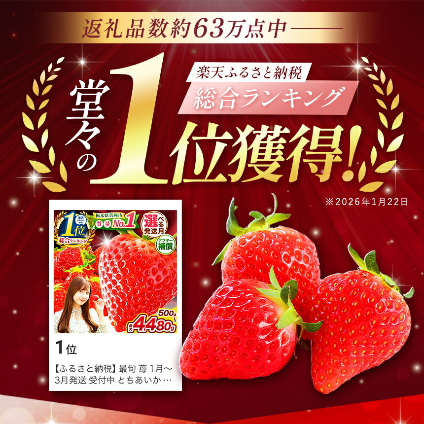 【ふるさと納税】 最旬 苺 2月～4月発送 受付中 とちあいか いちご ご褒美 旬 定期便 高レビュー | 選べる 発送時期 用途 贈答 訳あり | 生産量 日本一 果物 フルーツ イチゴ 人気 栃木県 2026年 発送 全国 1位 ランキング 期間限定 数量限定 人気 ストロベリー ichigo - 画像3