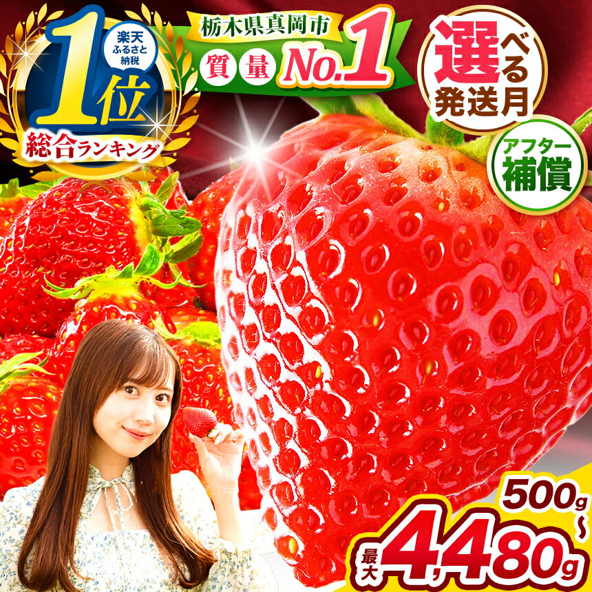 【ふるさと納税】 最旬 苺 2月～4月発送 受付中 とちあいか いちご ご褒美 旬 定期便 高レビュー | 選べる 発送時期 用途 贈答 訳あり | 生産量 日本一 果物 フルーツ イチゴ 人気 栃木県 2026年 発送 全国 1位 ランキング 期間限定 数量限定 人気 ストロベリー ichigo