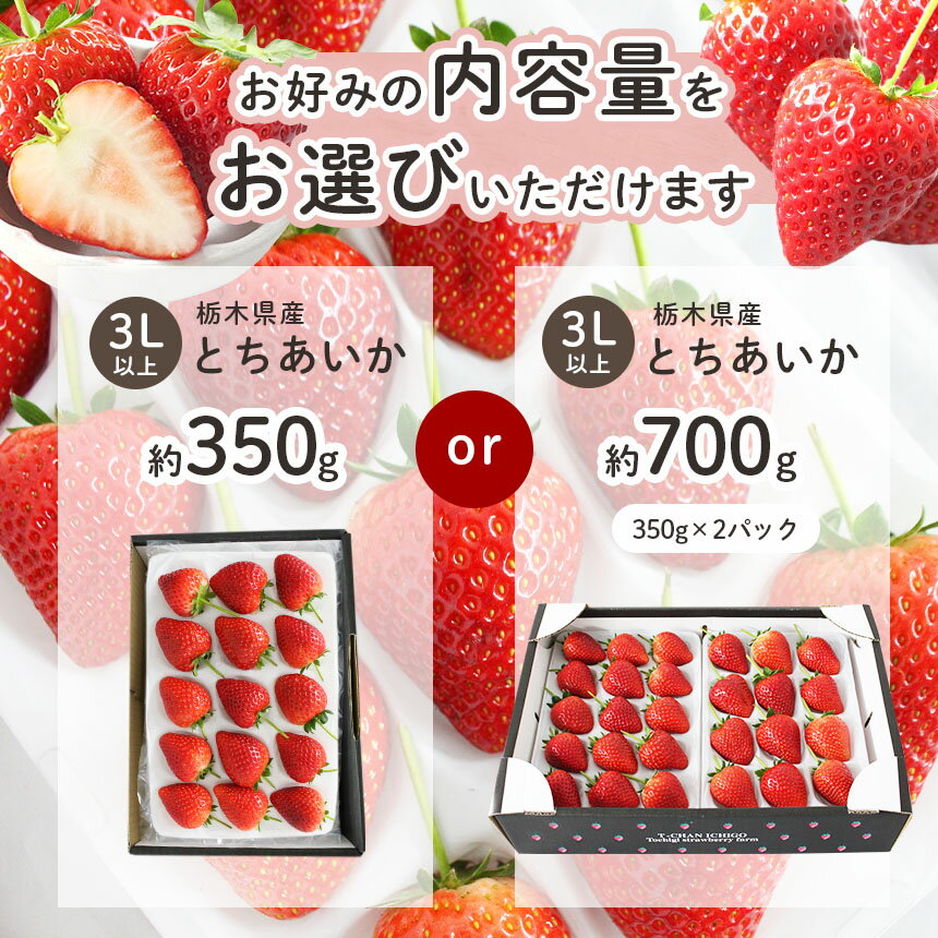 【ふるさと納税】とちあいか 3L以上ホール詰め 訳あり 350g 700g 選べる 定期便 3回＜ 発送期間：1月上旬～3月下旬 or 4月以降＞ ｜ いちご 苺 イチゴ ストロベリー フルーツ 甘い あまい 人気 おいしい スイーツ ご褒美 果物 名産品 栃木県 真岡市 サムネイル3