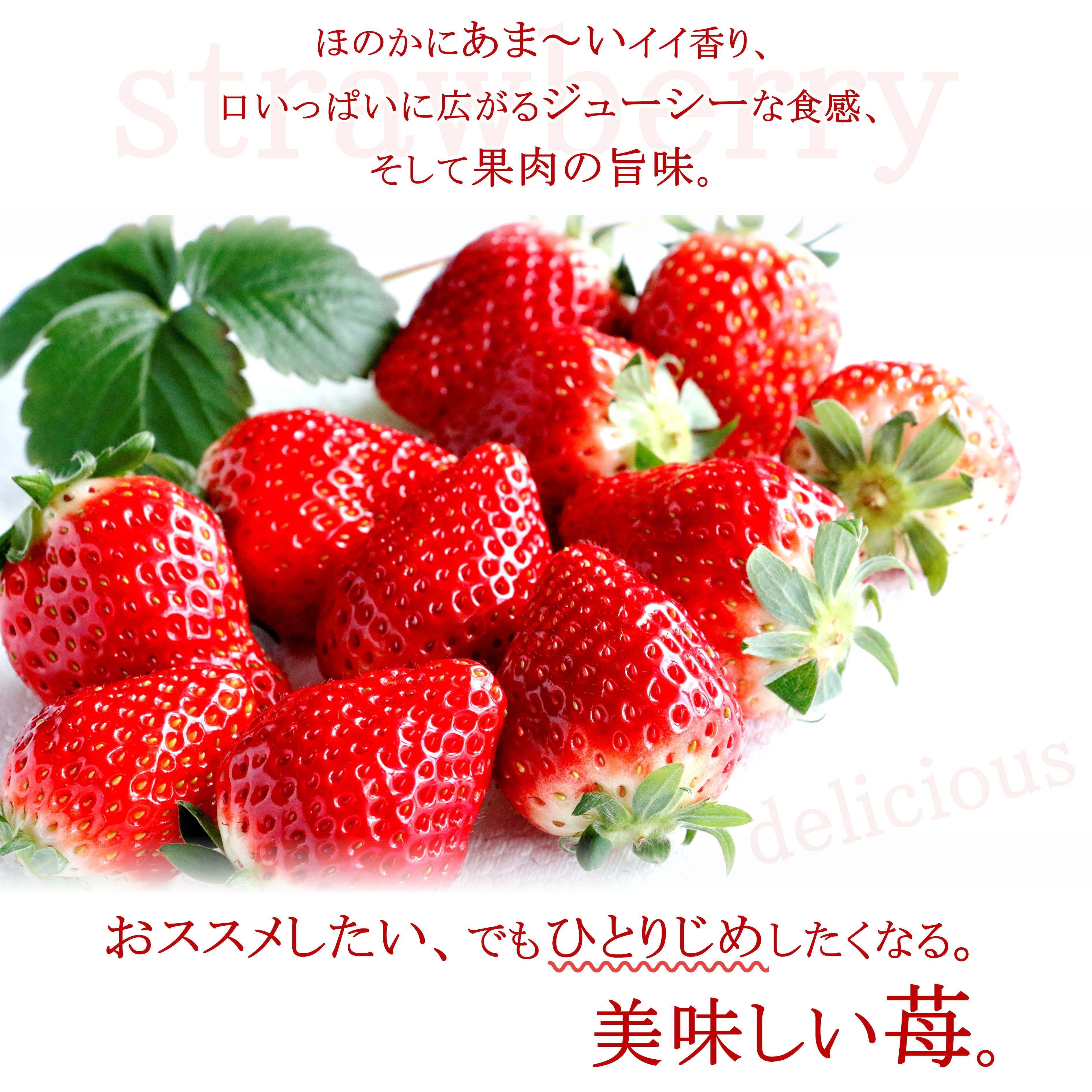 【ふるさと納税】とちあいか 香貴 18 ～ 21粒 高級 高価 贅沢 ぜいたく 大きい ここだけ ＜ 発送期間 ： 1月 上旬 ～ 2月 中旬 ＞ | いちご 苺 イチゴ ストロベリー フルーツ 果物 名産品 希少品種 数量限定 期間限定 あまい 甘い 栃木県 真岡市 送料無料 サムネイル3
