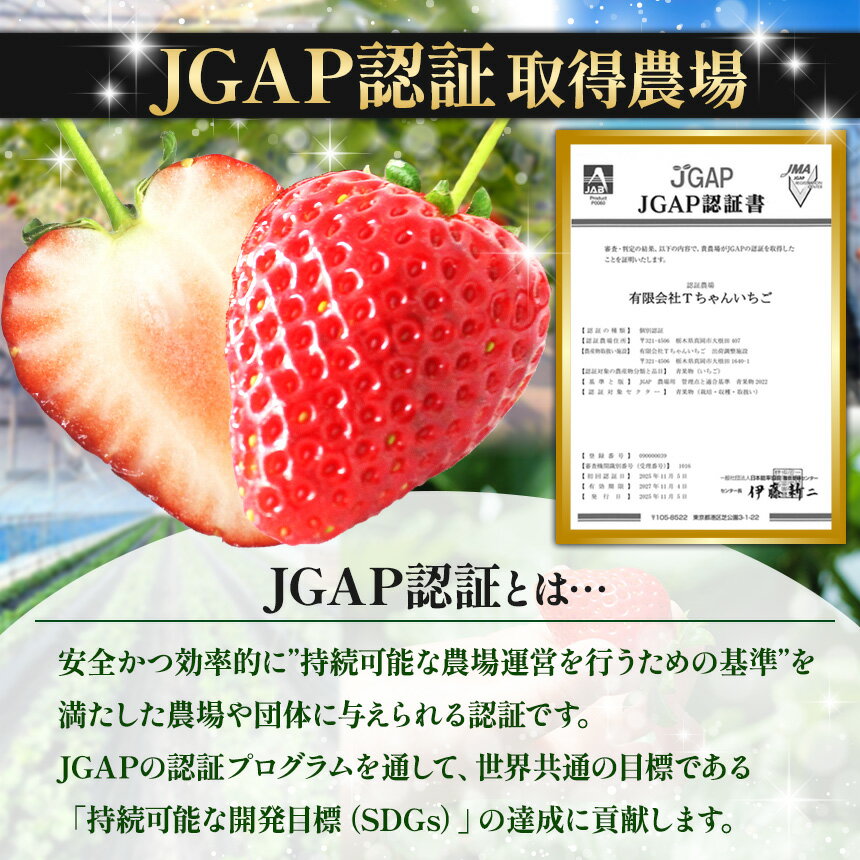 【ふるさと納税】ぎっしり とちあいか 訳あり 1.2kg 500g 大粒 ( サイズ 不揃い ) 定期便 3回＜選べる発送期間：1月上旬～3月下旬or4月以降＞｜ 苺 イチゴ ストロベリー 大きい 大粒 特大 旬 高級 産地直送 新鮮 果汁 甘い あまい 大容量 人気 栃木県 真岡市 送料無料 - 画像2