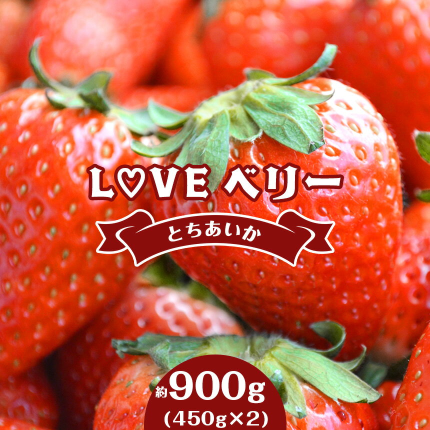 【2026年先行予約】 LOVE ベリー とちあいか いちご 900g (450g × 2) | 1月 2月 3月 発送 苺 イチゴ ストロベリー 大きい 大粒 特大 旬 高級 産地直送 新鮮 果汁 甘い あまい 大容量 人気 高評価 減農薬 有機肥料 栃木県 真岡市 送料無料