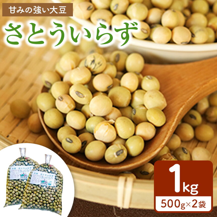 農薬・除草剤・化学肥料不使用で育てた 大豆さとういらず｜ 栽培 だいず ダイズ 大豆 青大豆 オーガニック さとういらず 約500gx2袋 国産 真岡市 栃木県 送料無料 食品