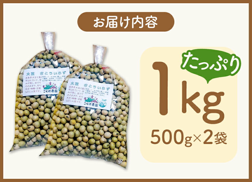 【ふるさと納税】農薬・除草剤・化学肥料不使用で育てた 大豆さとういらず｜ 栽培 だいず ダイズ 大豆 青大豆 オーガニック さとういらず 約500gx2袋 国産 真岡市 栃木県 送料無料 食品 - 画像2