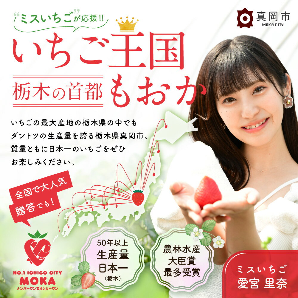 【ふるさと納税】いちご農家の『けずりいちご』5カップ入り |とちおとめ まるごと けずり いちご 冷凍 練乳 苺 イチゴ ストロベリー 大きい 美味しい 甘い あまい 人気 栃木県 真岡市 旬 送料無料 サムネイル3