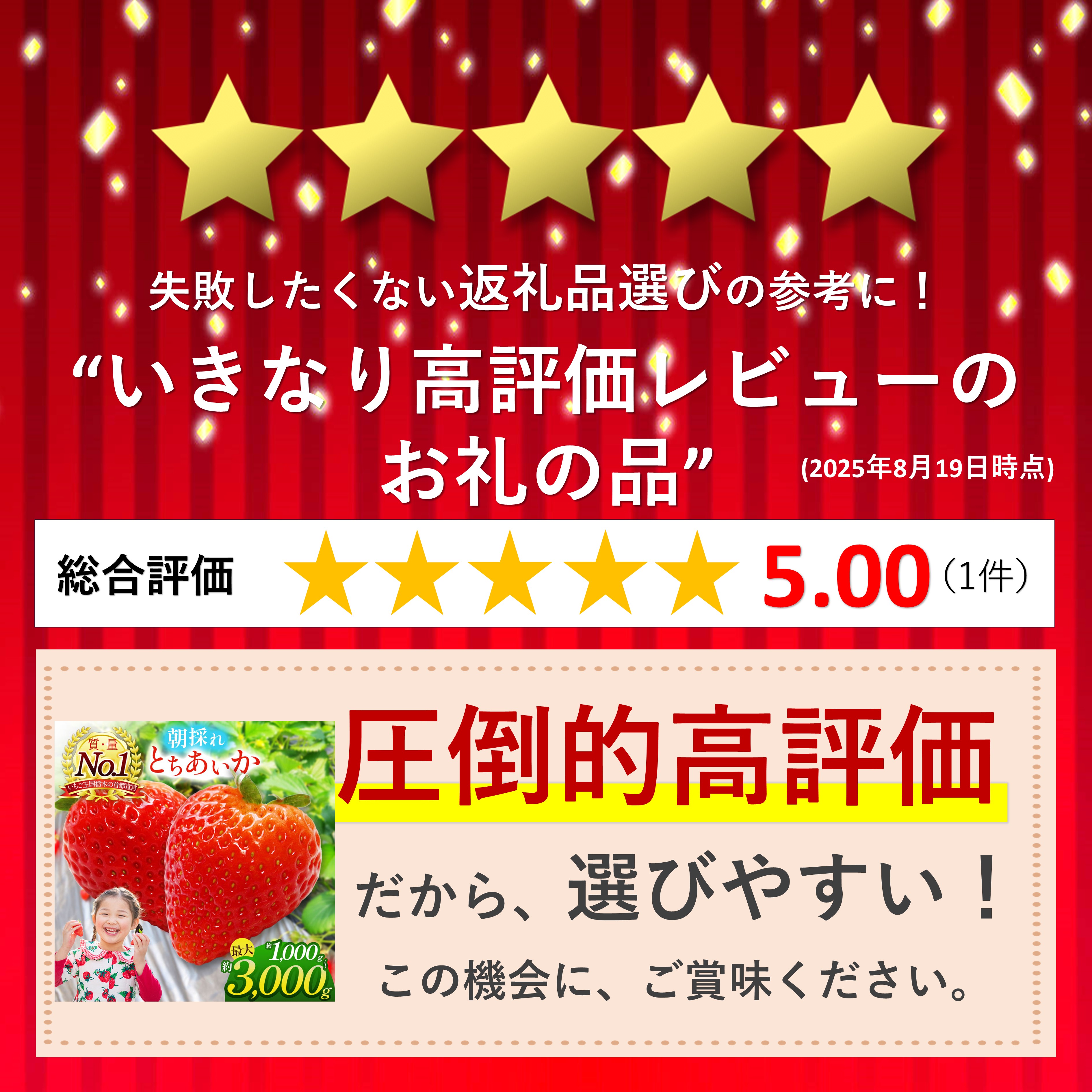 【ふるさと納税】朝採れ のいちご とちあいか 1000〜3000g | 朝摘み とちおとめ いちご 苺 イチゴ ストロベリー 大きい 美味しい 果汁 甘い あまい パック 人気 栃木県 真岡市 旬 送料無料 サムネイル2