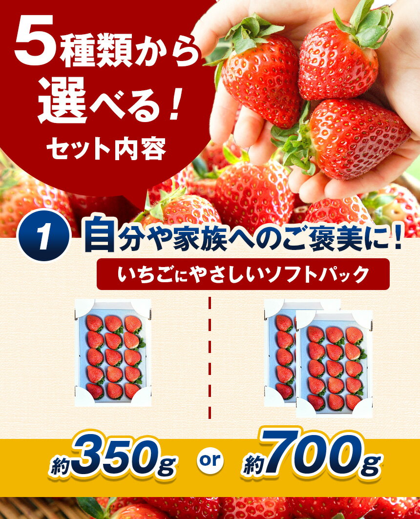 【ふるさと納税】 限定 定期便 いちご イチゴ とちあいか 苺 ストロベリー 朝採れ たっぷり1kg 1.4kg 2kg 贈答用 700g 訳あり 不揃い | 新鮮 完熟 高級 旬 産地直送 果汁 甘い あまい 大容量 高評価 減農薬 有機肥料 日本一 王国 安い お買い得 栃木県 真岡市 送料無料 - 画像3