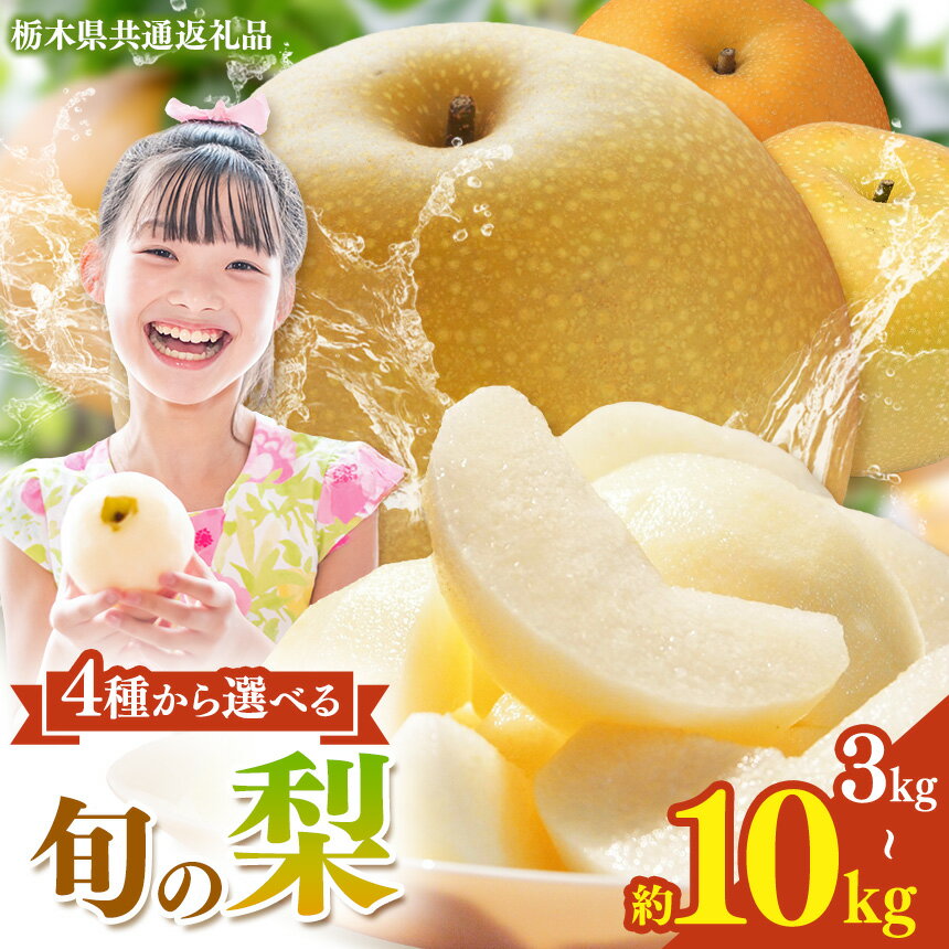栃木県産 梨 選べる 幸水 豊水 秋月 にっこり【2026年先行予約】| 3kg 5kg 10kg こうすい ほうすい あきづき なし ナシ 完熟 果物 フルーツ プレゼント ご褒美 お取り寄せ 贈答 おいしい ジューシー 数量 限定 栃木県共通返礼品 栃木県 真岡市 送料無料