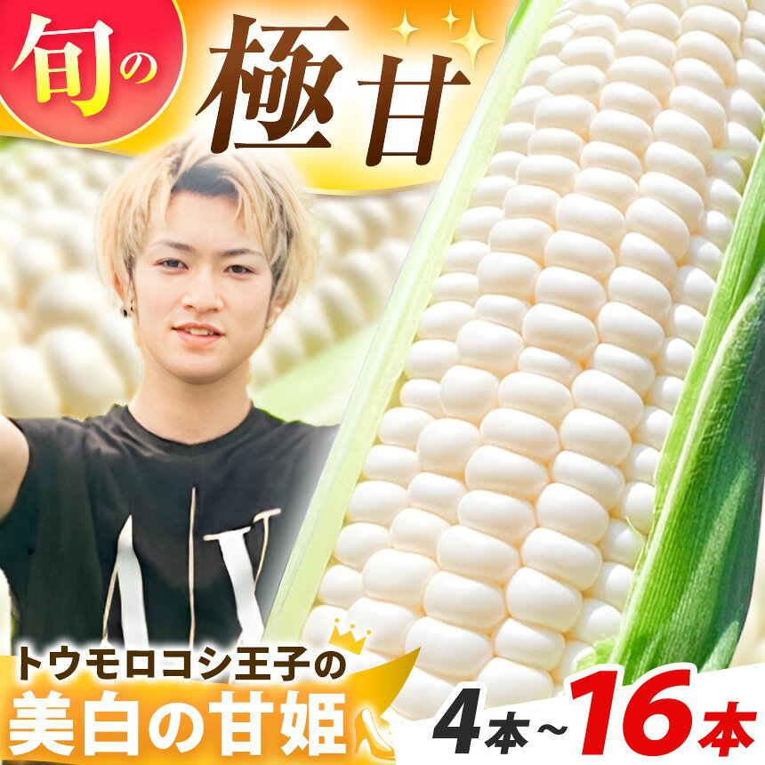 朝採れ 農家直送 産地直送 生食 スイーツコーン プレミアム トウモロコシ 王子の「美白の甘姫」選べる 本数 | 【2026年7月上旬先行予約】トウモロコシ とうもろこし 白とうもろこし 甘姫 甘い 美味しい 希少 珍しい おやつ 栃木県 真岡市 送料無料