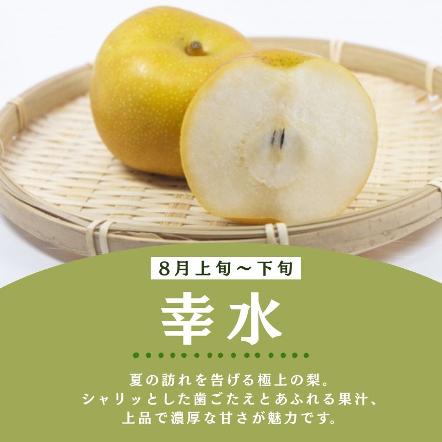 【ふるさと納税】栃木県産 梨 選べる 幸水 豊水 秋月 にっこり【2026年先行予約】| 3kg 5kg 10kg こうすい ほうすい あきづき なし ナシ 完熟 果物 フルーツ プレゼント ご褒美 お取り寄せ 贈答 おいしい ジューシー 数量 限定 栃木県共通返礼品 栃木県 真岡市 送料無料 サムネイル3