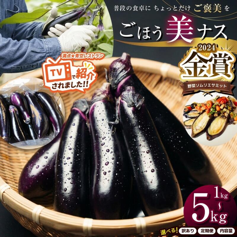 なす 訳あり 定期便 ごほう美ナス 金賞 受賞 選べる 内容量 定期便 約1~5kg ｜ 茄子 ナス 野菜 夏秋ナス 長ナス 野菜 ご褒美 栃木県 真岡市 送料無料