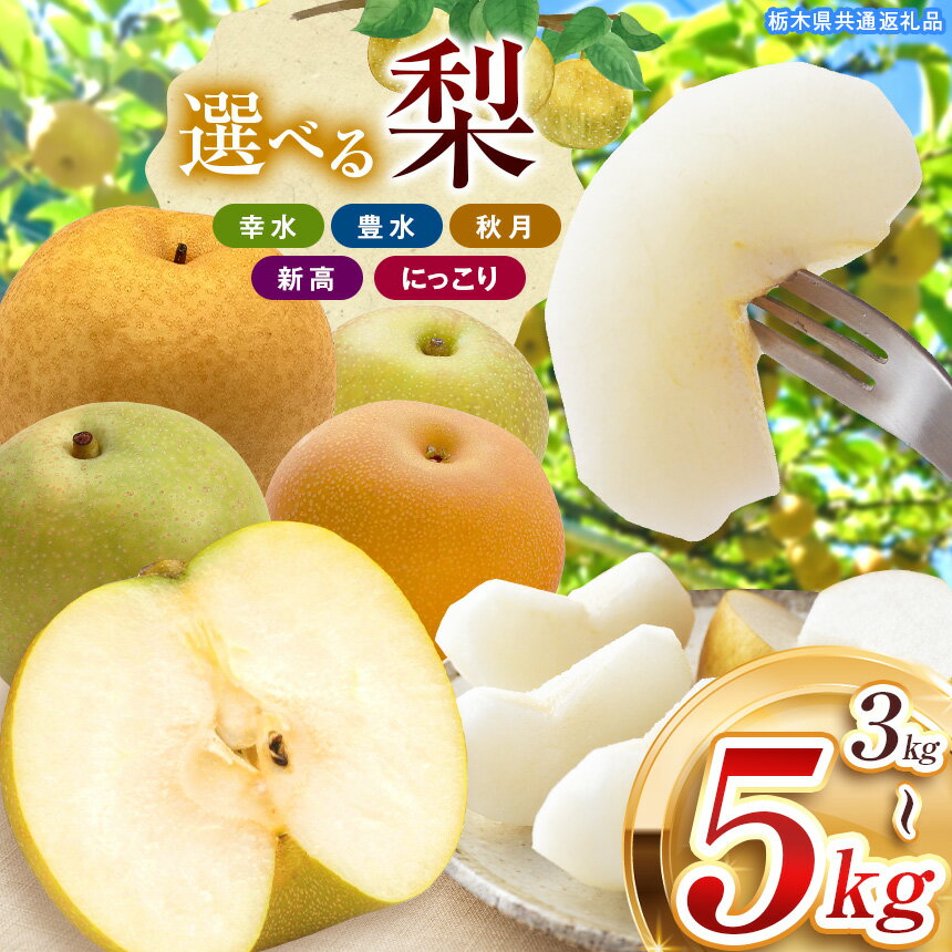 栃木県産 なし 梨 幸水 豊水 秋月 新高 にっこり 【楽天限定】 2026年 先行予約 品種 選べる | お取り寄せ 果物 くだもの フルーツ プレゼント ご褒美 甘い 贈答 秋 大きい 高評価 ナシ 8月 9月 10月 栃木県 真岡市 送料無料 栃木県共通返礼品