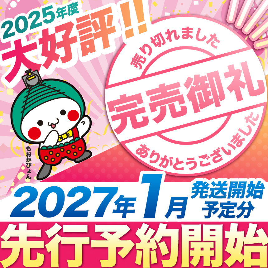 【ふるさと納税】【農林水産大臣賞受賞】 いちご とちあいか 〈2027年先行予約〉 選べる容量 約580g～約2,900g 真岡市 いちご生産量日本一 | 苺 イチゴ 高糖度 大粒 完熟 朝採れ ブランド 産地直送 フルーツ ストロベリー たっぷり 大容量 人気 栃木県 送料無料 - 画像2