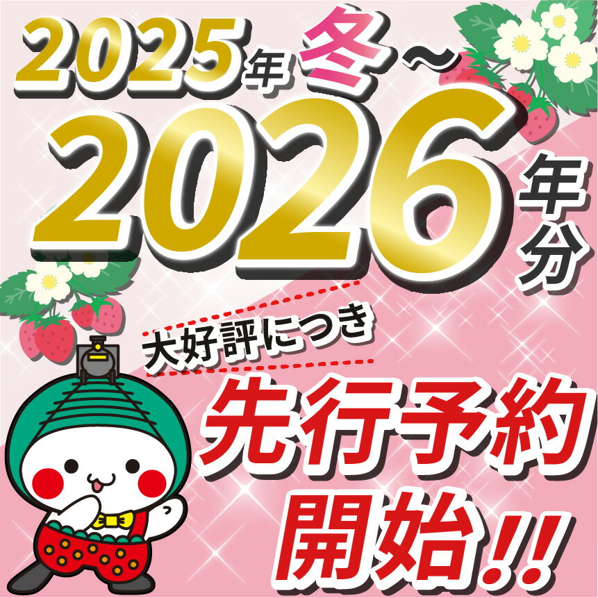 【ふるさと納税】楽天限定 いちご とちあいか とちおとめ 訳あり 人気 食べ比べ セット 選べる 500g or 1000g 【2026年 先行予約】限定｜ 1月 2月 3月 農林水産大臣賞 受賞農家 2品種 栃木県産 真岡市 日本一 苺 イチゴ スイーツ ジャム アレンジ 産地直送 直送 サムネイル2